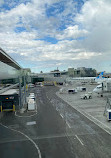 Calgary International Airport (YYC)