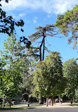 Great Pond of El Retiro