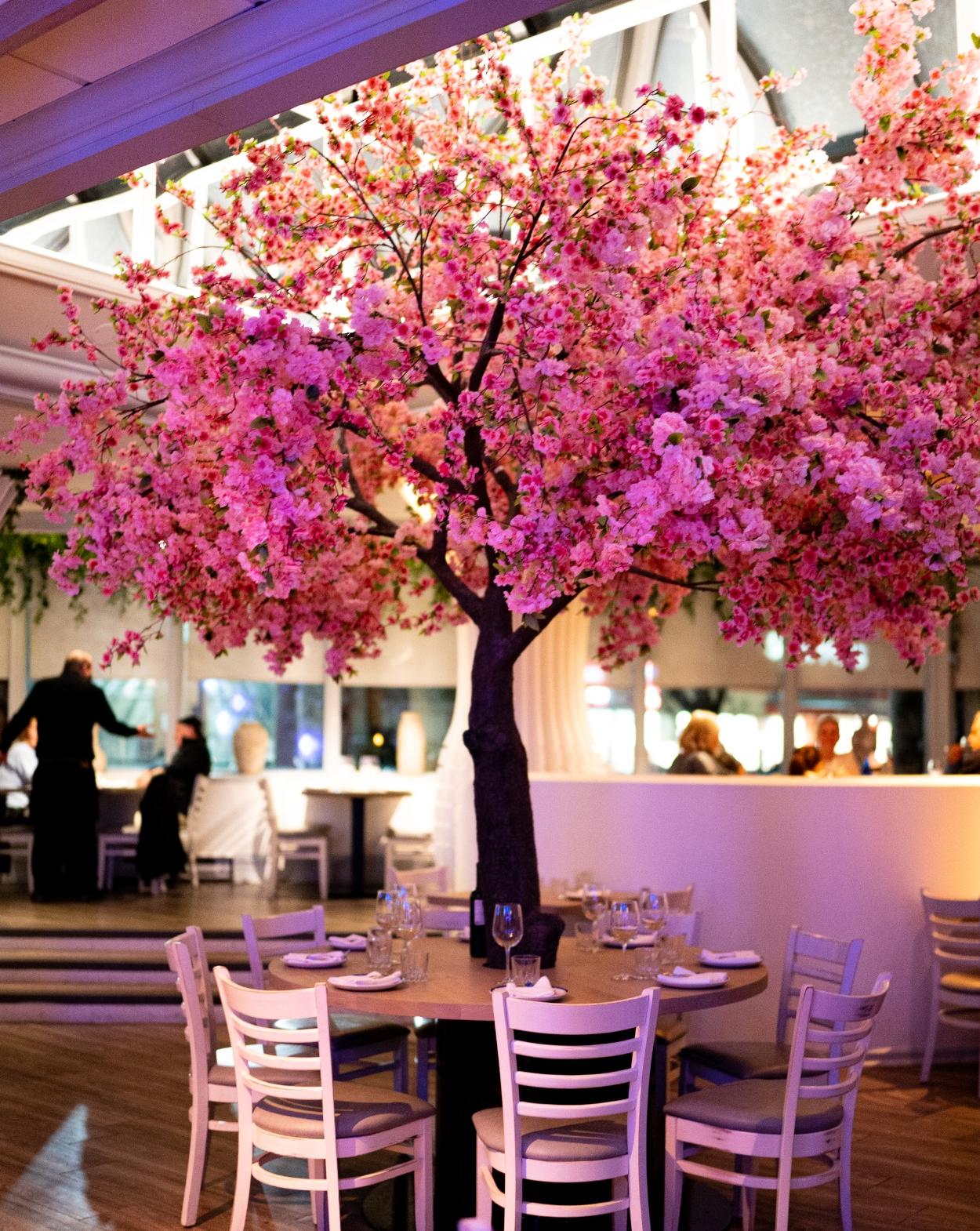 Santorini Restoranı