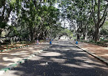 Lake Lalbagh