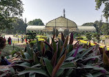 Lake Lalbagh