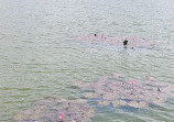 Lake Lalbagh