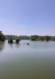 Lake Lalbagh