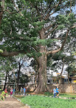 Lake Lalbagh