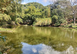 Lake Lalbagh