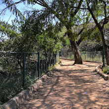 Lake Lalbagh