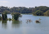 Lake Lalbagh