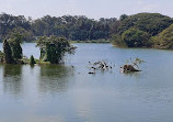 Lake Lalbagh