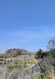 Lake Lalbagh