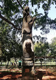 Lake Lalbagh