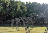 Lake Lalbagh