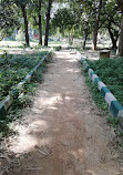 Lake Lalbagh