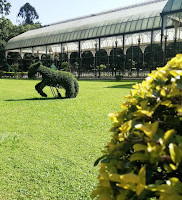 Lake Lalbagh