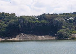 Lake Lalbagh