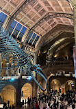 موزه تاریخ طبیعی لندن
