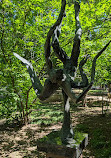 Umlauf Sculpture Garden & Museum