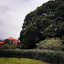 Cubbon Park