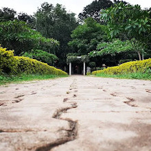 Cubbon Park