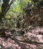 Butterflies Valley