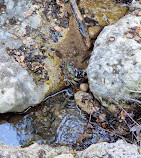 Butterflies Valley