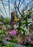 Flower Dome