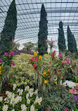 Flower Dome