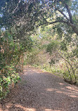 Santiago Oaks Regional Park