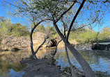 Santiago Oaks Regional Park