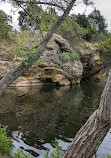 Santiago Oaks Regional Park