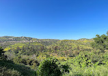 Santiago Oaks Regional Park