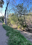 Santiago Oaks Regional Park