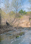 Santiago Oaks Regional Park