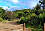 Santiago Oaks Regional Park