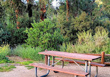 Santiago Oaks Regional Park