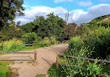 Santiago Oaks Regional Park