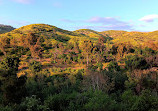 Santiago Oaks Regional Park