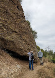 Santiago Oaks Regional Park