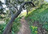 Santiago Oaks Regional Park