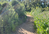 Santiago Oaks Regional Park