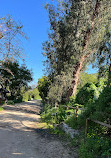 Santiago Oaks Regional Park