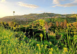 Santiago Oaks Regional Park