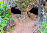 Santiago Oaks Regional Park