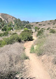 Santiago Oaks Regional Park