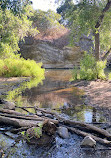 Santiago Oaks Regional Park