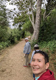 Santiago Oaks Regional Park