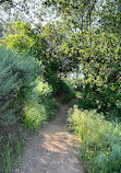 Santiago Oaks Regional Park