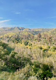 Santiago Oaks Regional Park