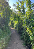 Santiago Oaks Regional Park