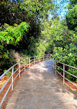 Santiago Oaks Regional Park