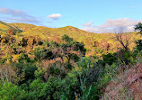 Santiago Oaks Regional Park